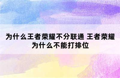 为什么王者荣耀不分联通 王者荣耀为什么不能打排位